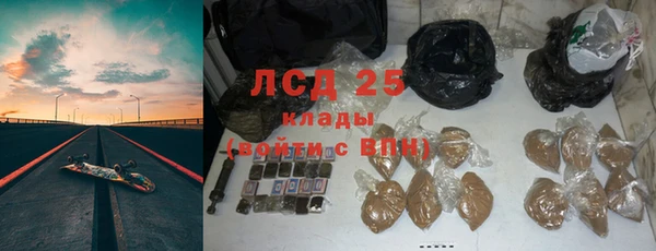 PSILOCYBIN Абдулино