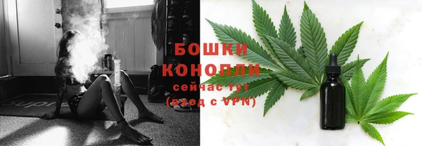 PSILOCYBIN Абдулино