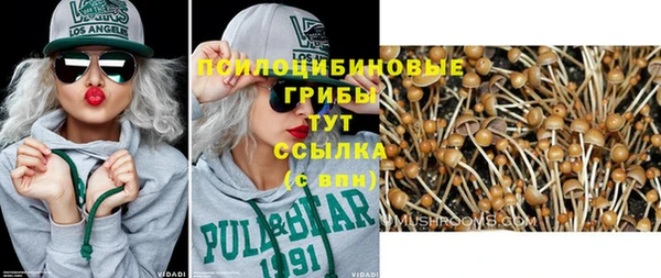 прущий лед Алексин